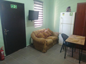 Nerry's Garden İzmit - Camellia